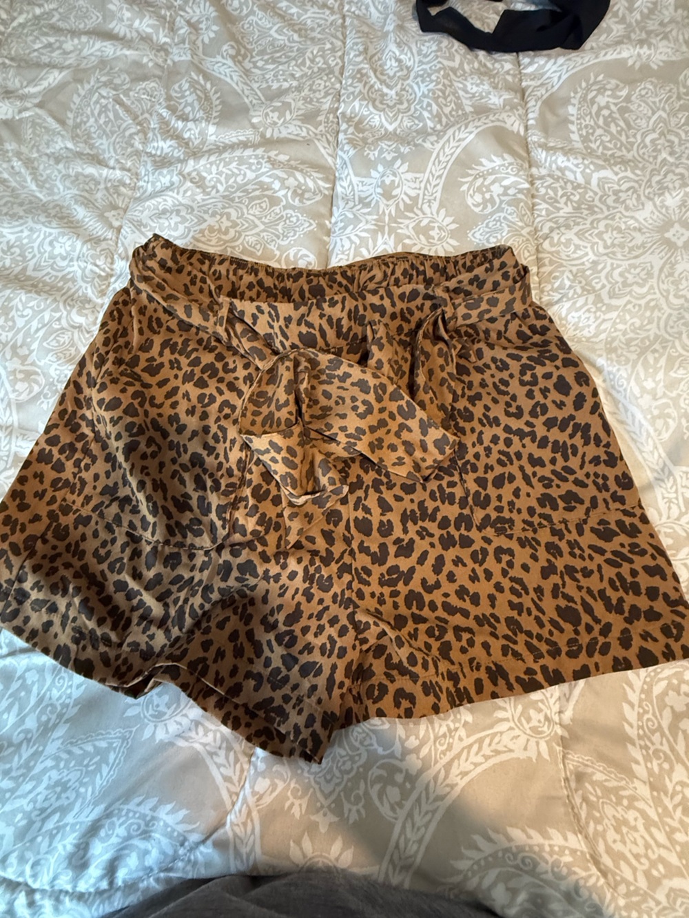 a new day Leopard Print Tie-Waist High-Rise Shorts - Brown & Black